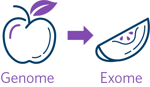 genome exome icon