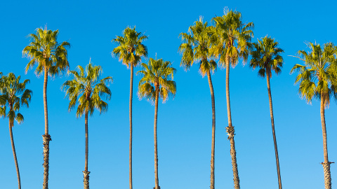 5a063432a37d3_Anaheim[1]