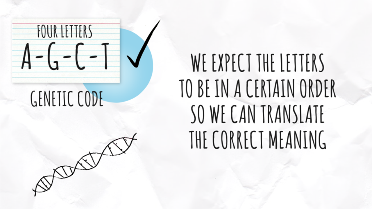 What does it even mean to have a BRCA gene mutation?