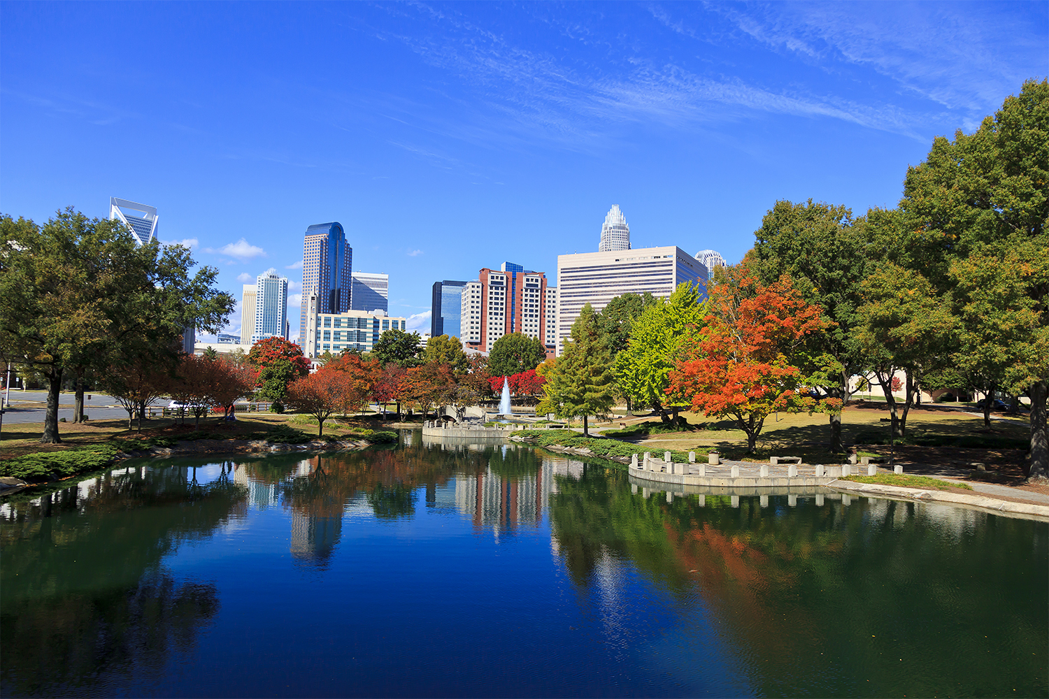 Charlotte Skyline from Marshall Park