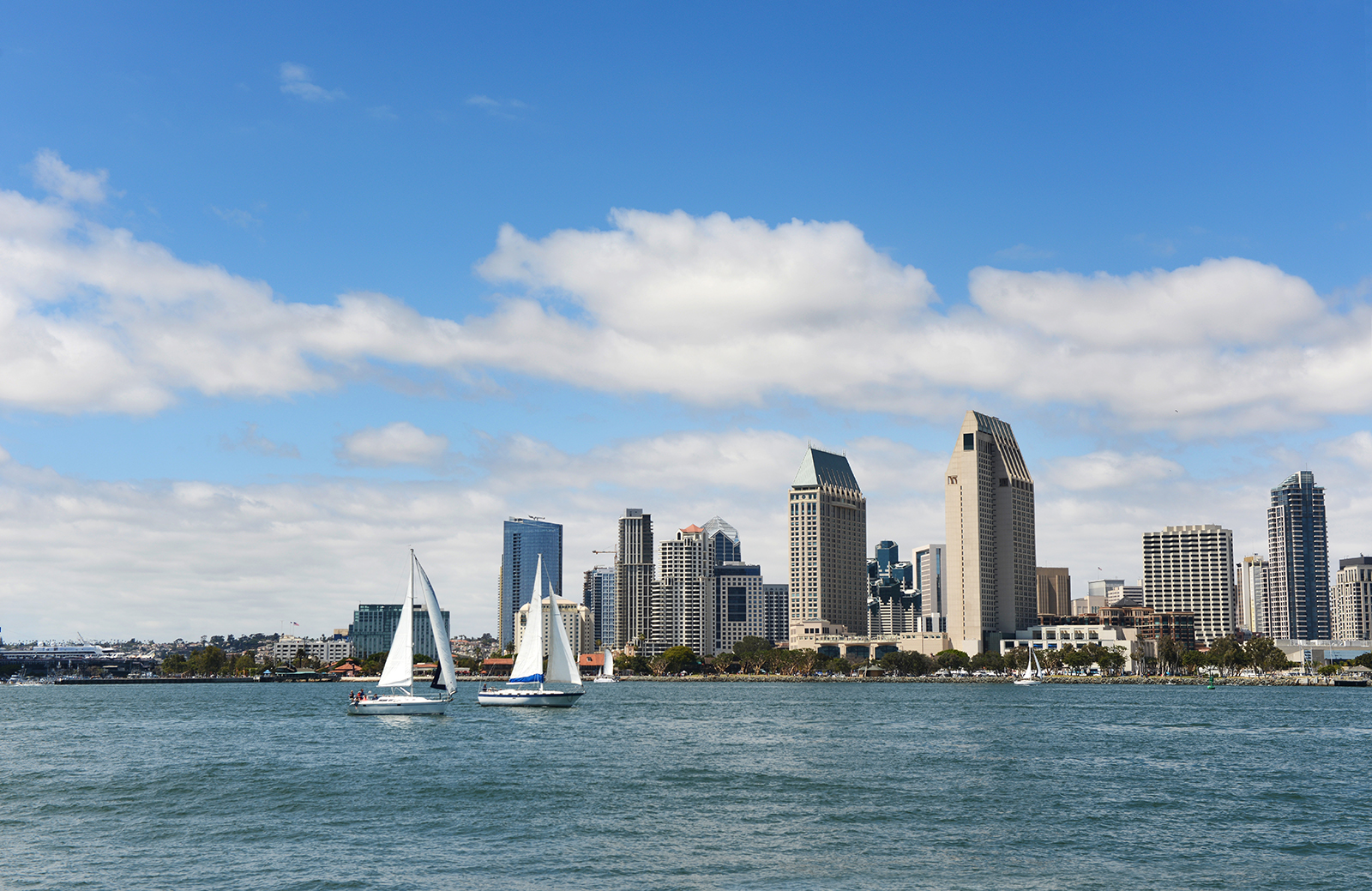 San Diego skyline during a sunny day