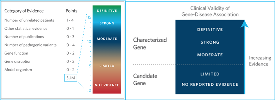 Gene of the Month: KCNH5