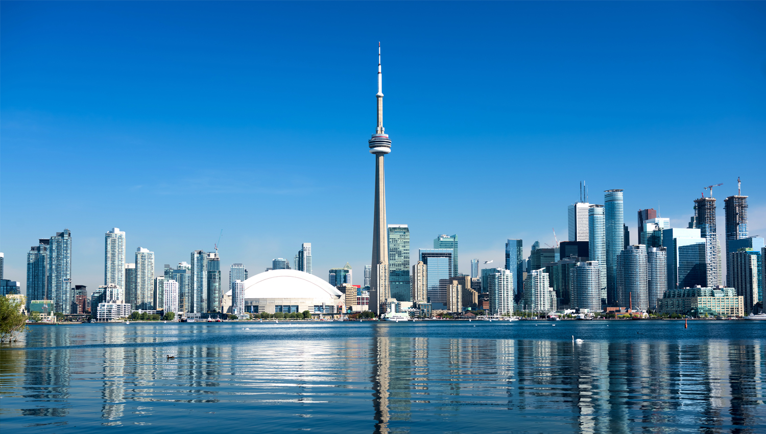657cb19ca4fff_Toronto_LO