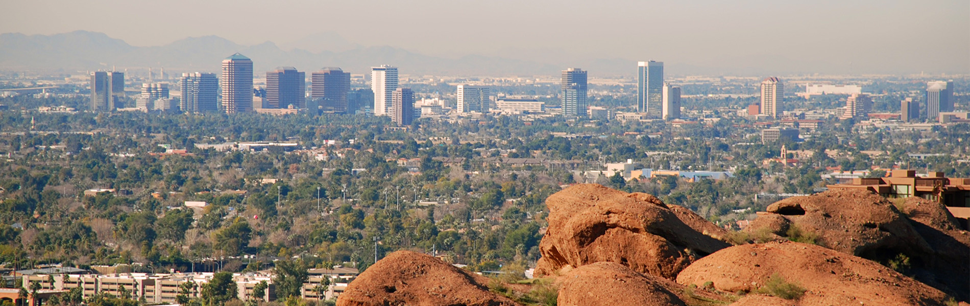 65820ac904361_Phoenix_AdobeStock_126828324