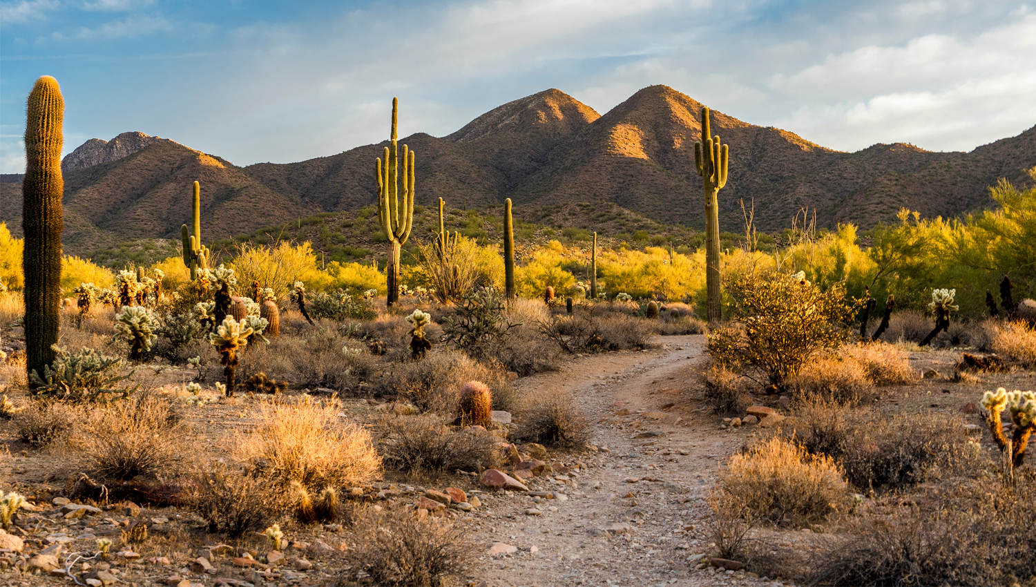 659c4e60d1cdf_Scottsdale_LO
