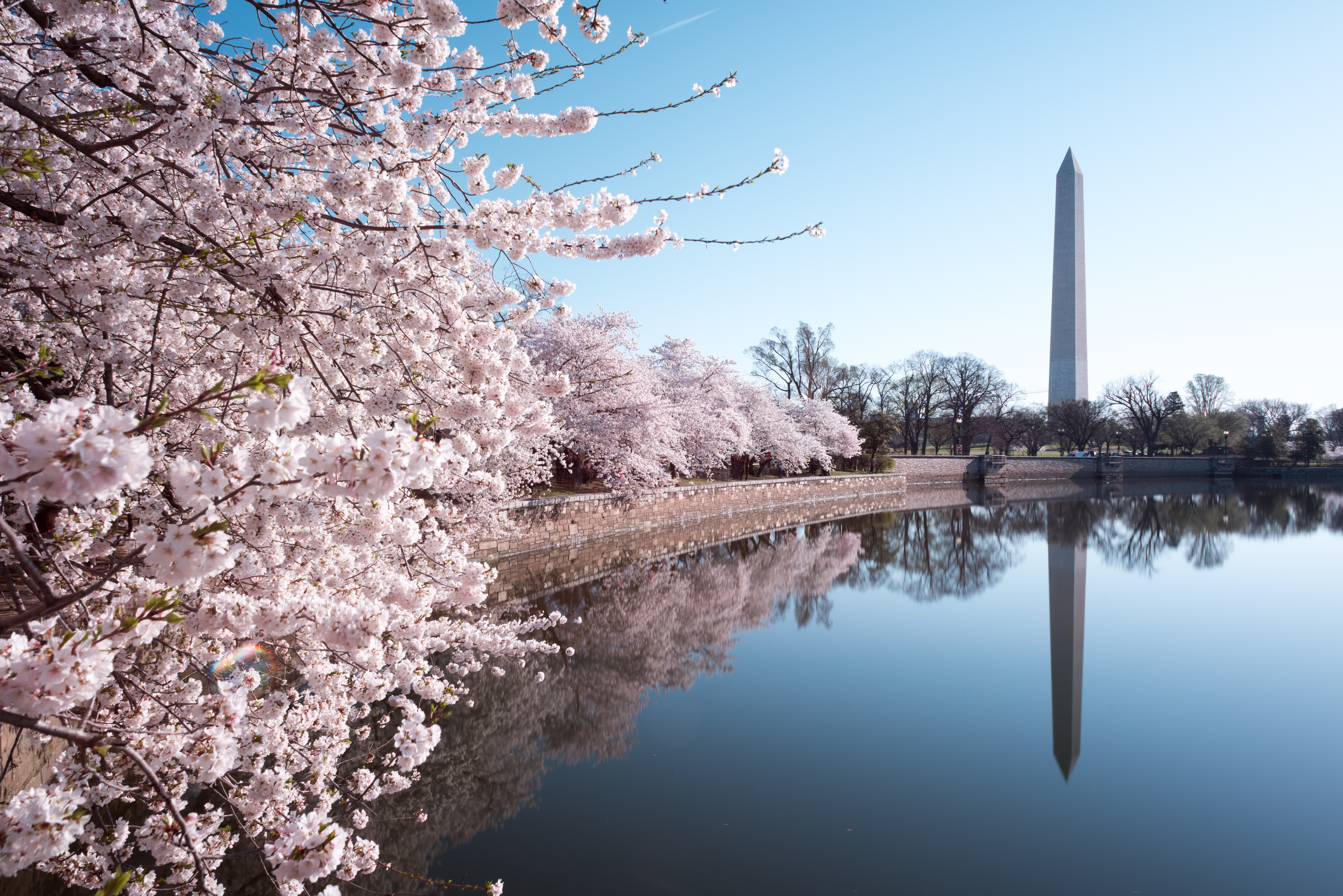 Washington Monument