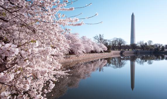 Washington Monument