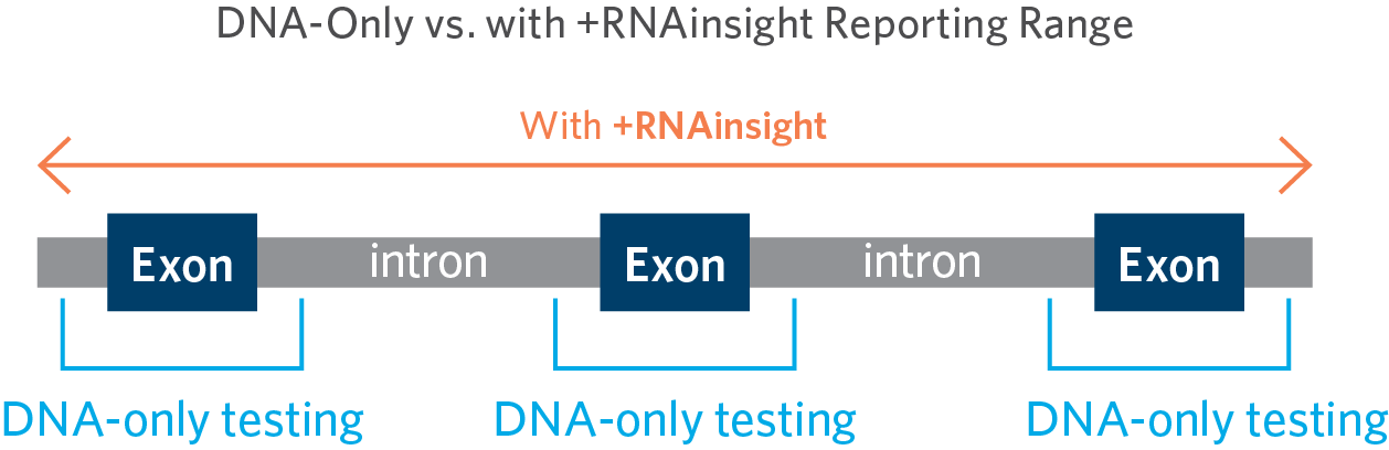 rna_exon[1]