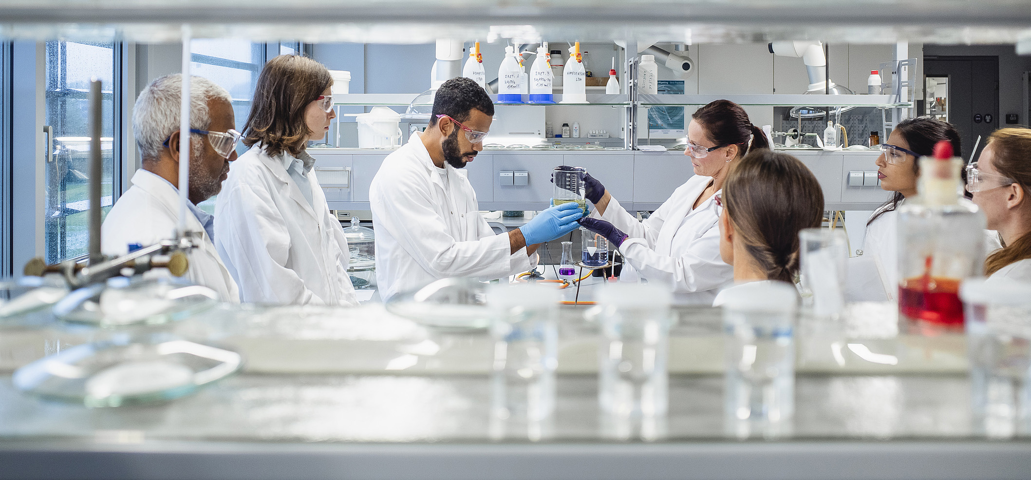 Scientists working in the laboratory