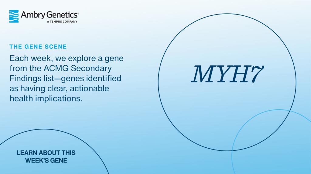 GeneSceneTemplate_2400x1350_MYH7