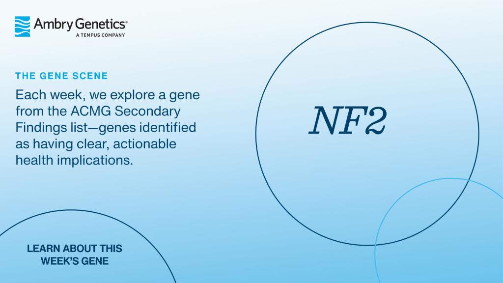 GeneSceneTemplate_2400x1350_NF2