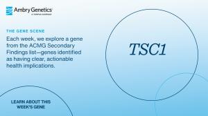 GeneSceneTemplate_2400x1350_TSC1