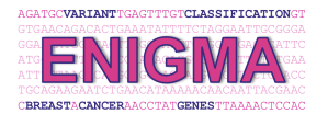 ENIGMA