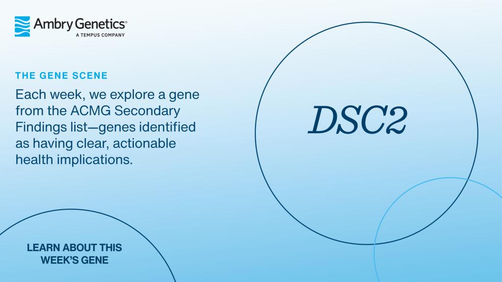GeneSceneTemplate_2400x1350_DSC2