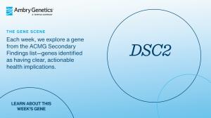 GeneSceneTemplate_2400x1350_DSC2