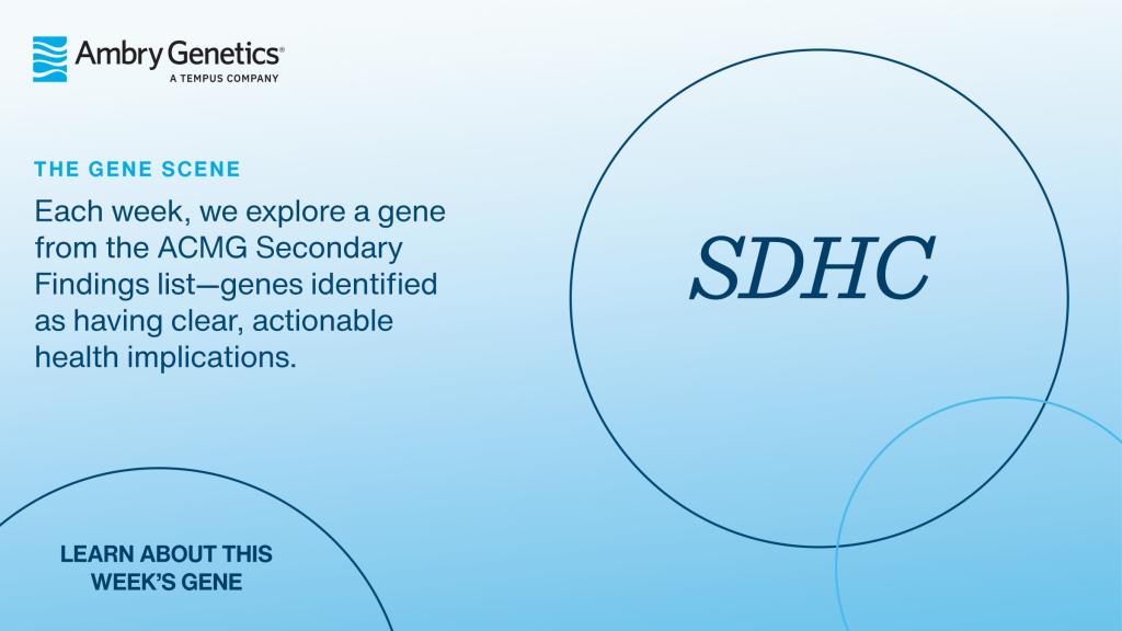 GeneSceneTemplate_SDHC
