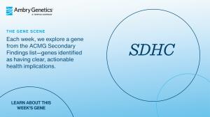 GeneSceneTemplate_SDHC